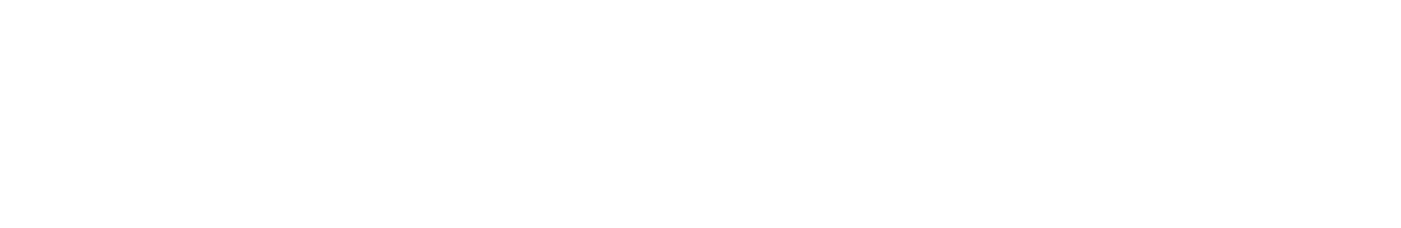 Protectolock
